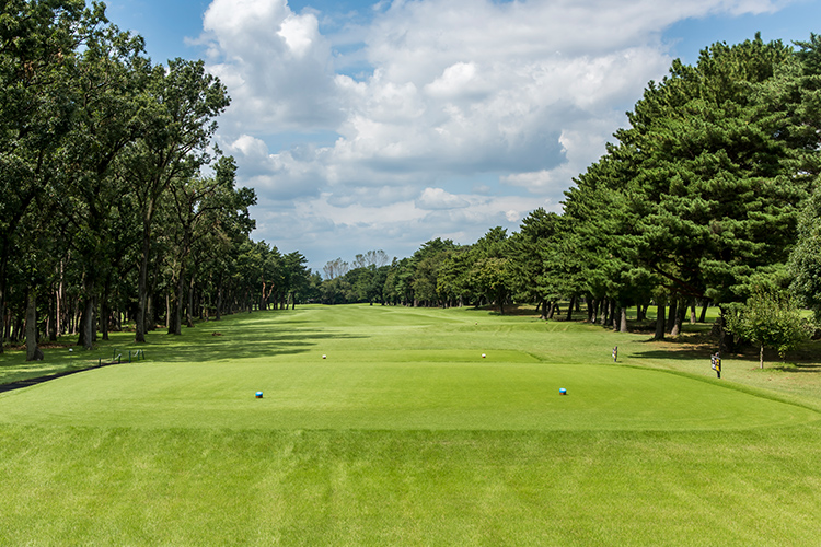 写真：東コース ホール11