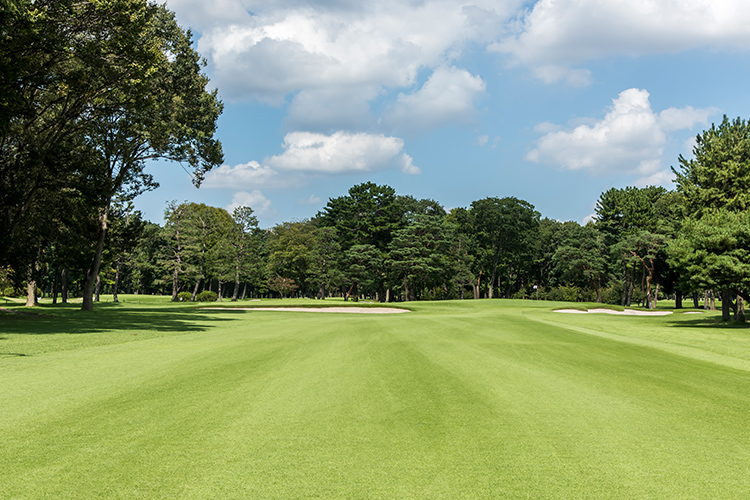 写真：東コース ホール6